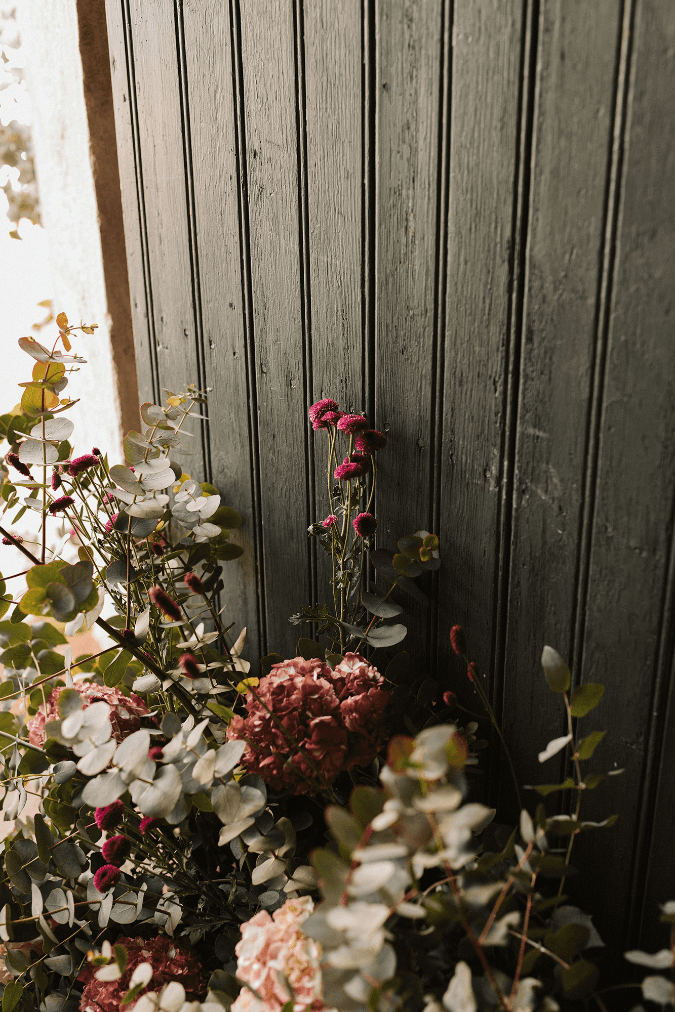 Detalle plantas