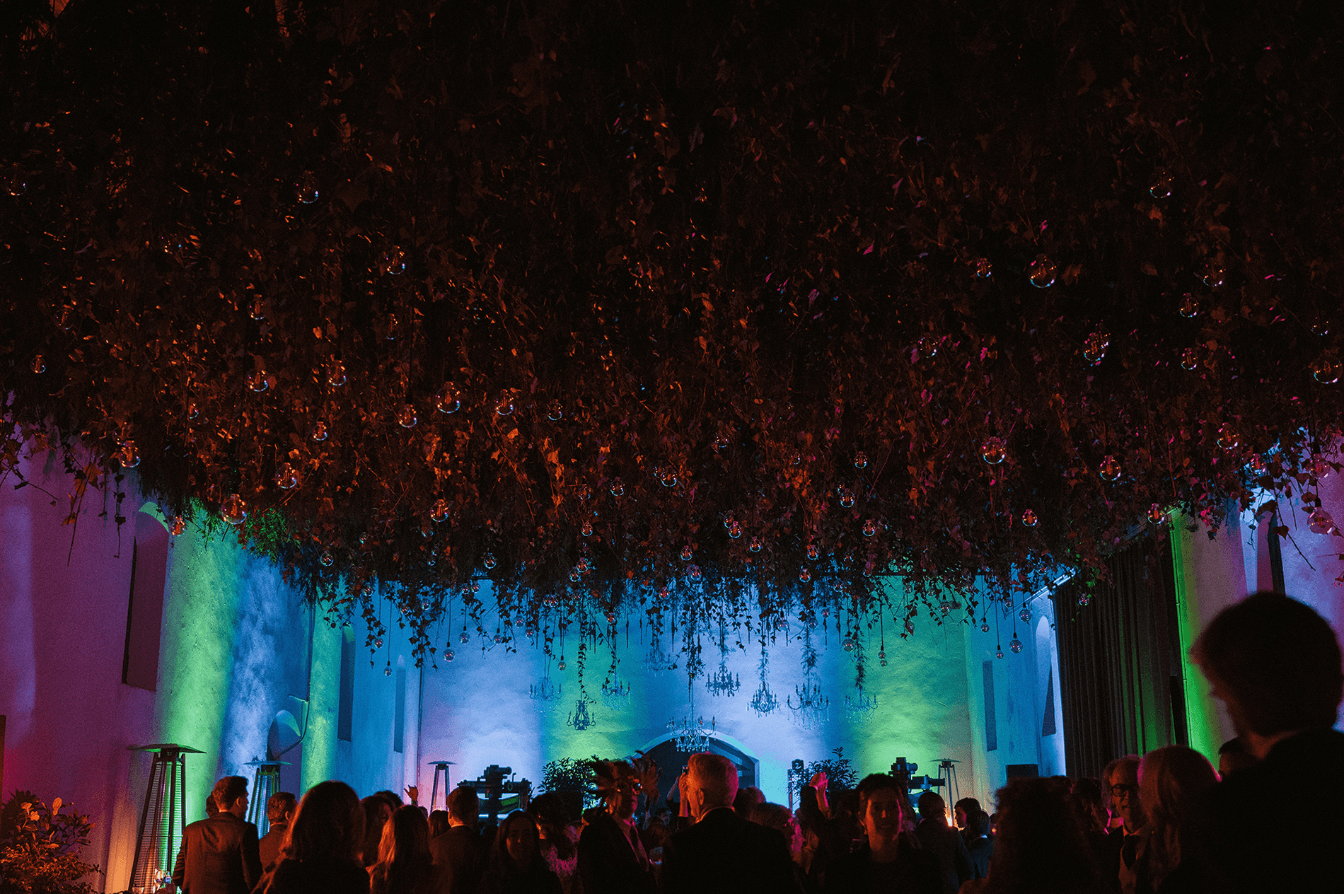 Techo con plantas de noche