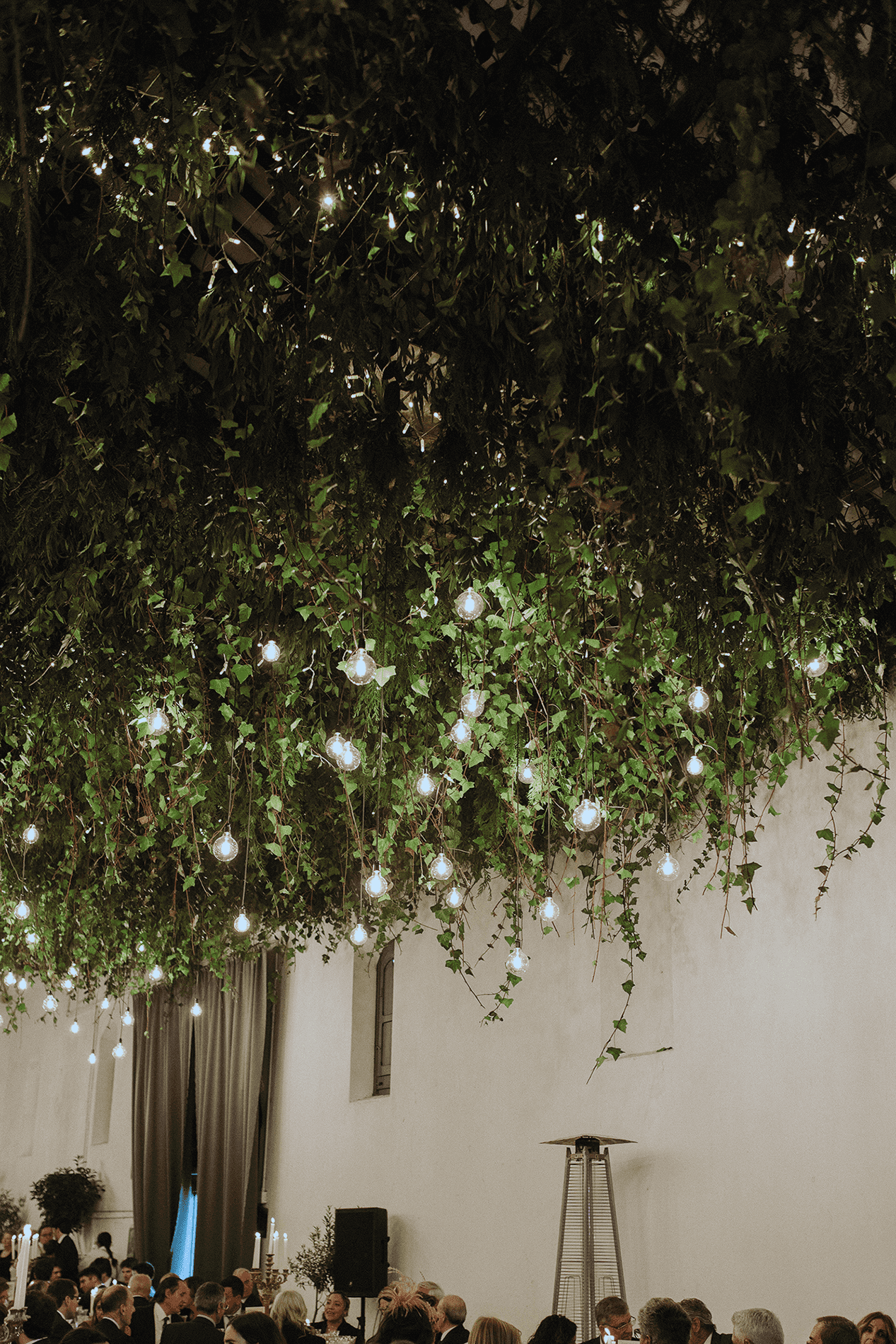 Techo con plantas y luces