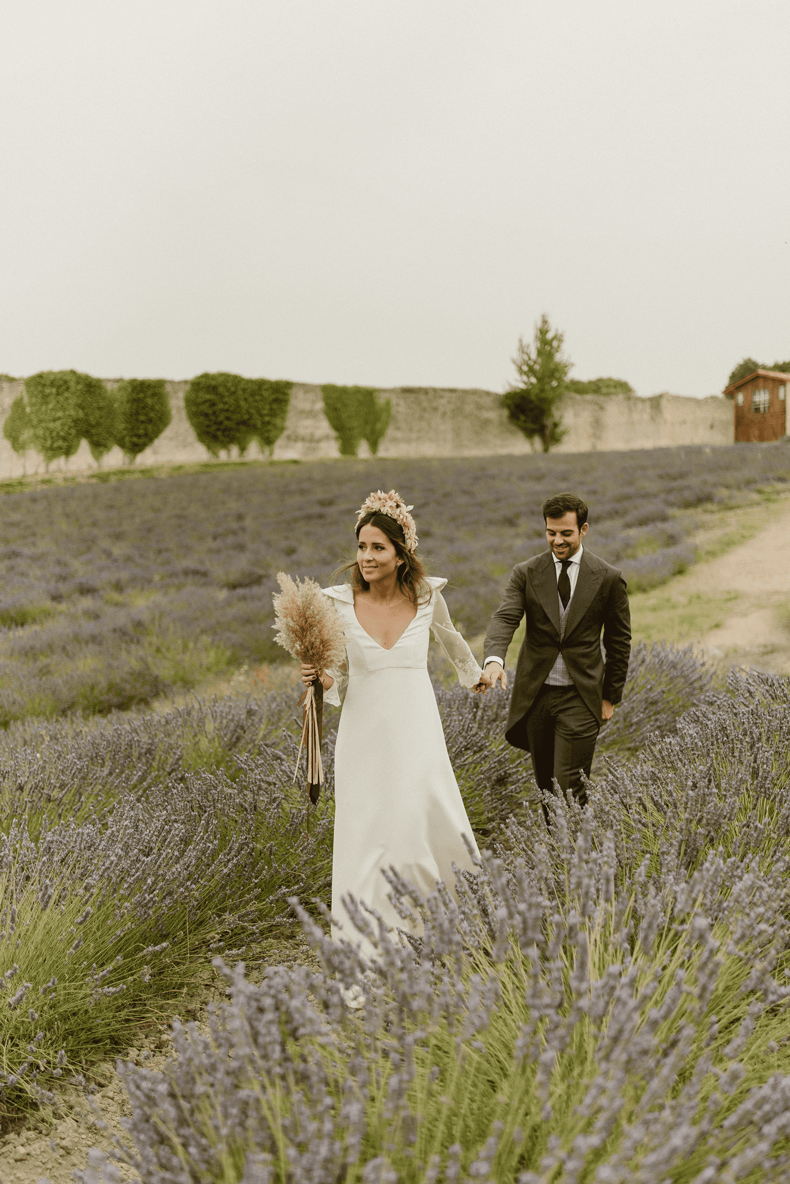 Novios en un campo de lavanda