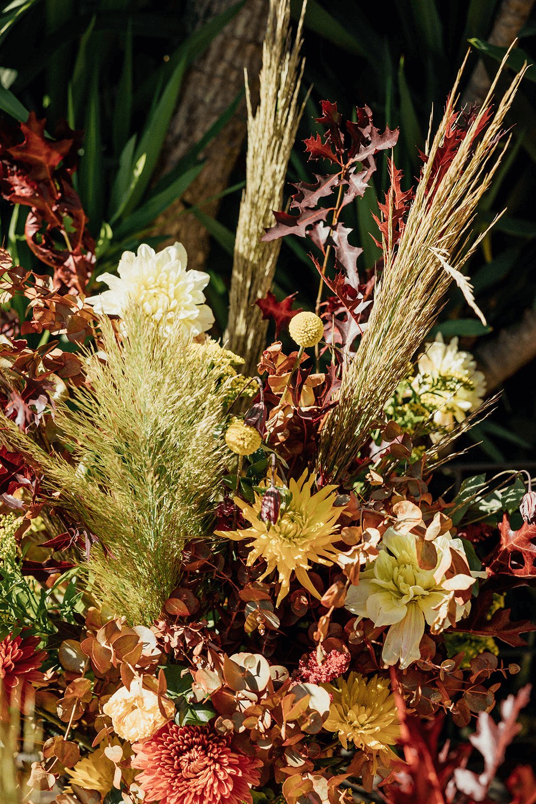 Flores variadas